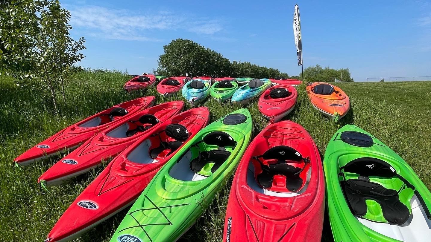 A number of Kayaks lined on the grass