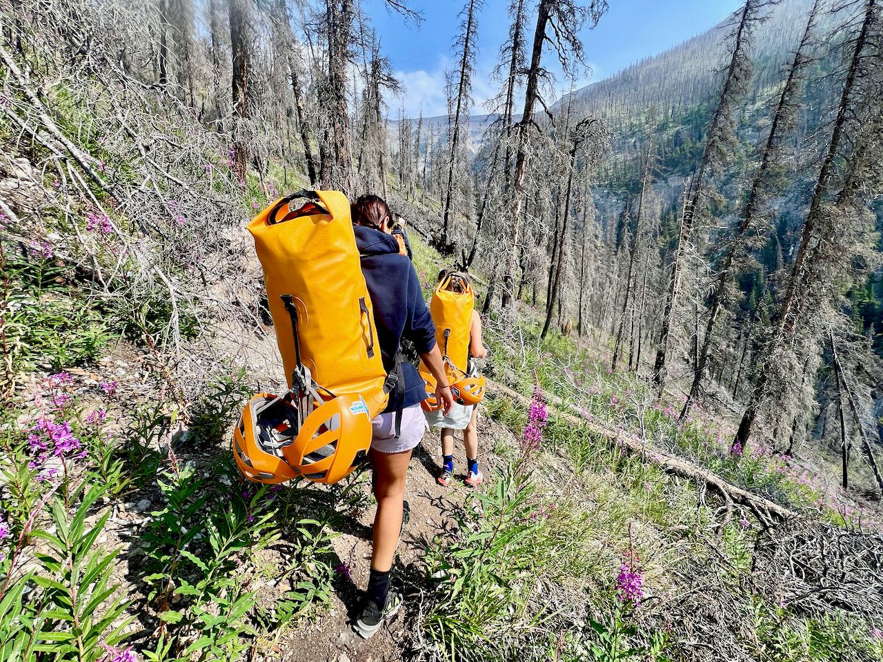 Hikers carrying bright orange canyoning gear through a forest trail in Bow Valley.
