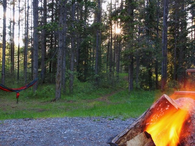 A campfire in the park with a hanging hammock in the tree.