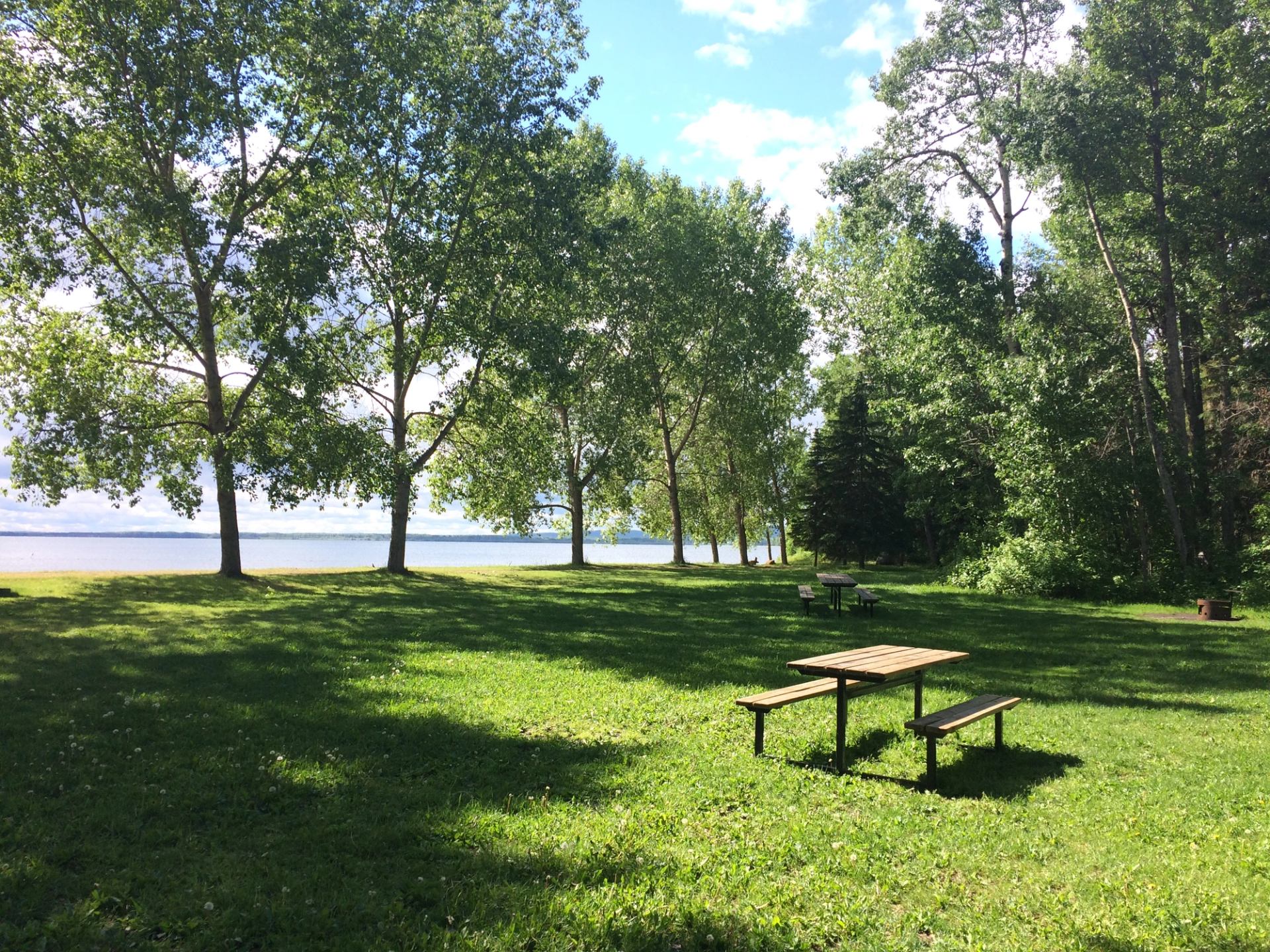 Grassy lakeside park with tall trees, picnic tables and a barbecue near the shore.