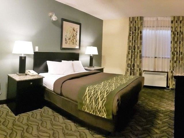 Hotel room with large bed, matching lamps, framed art, and patterned carpet.