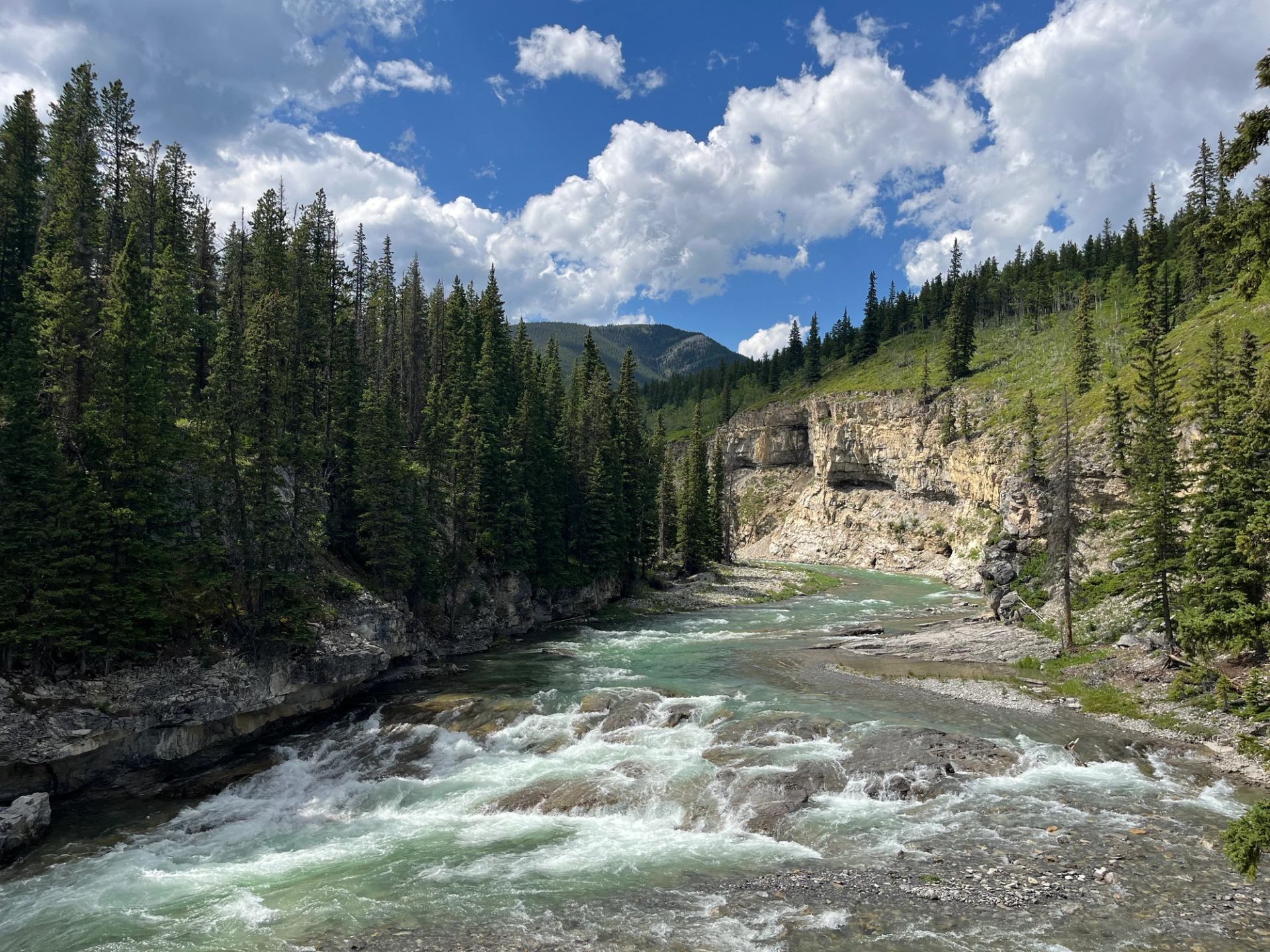 Fast flowing river cutting through a rocky canyon surrounded by evergreen trees.