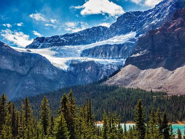 Glacier and rocky mountain landscape above evergreen forest in Banff National Park.