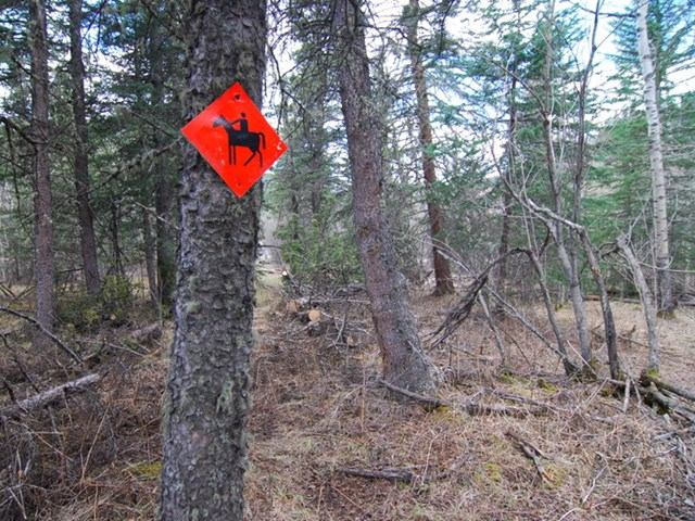 Red horse trail sign on a tree in a forested area.