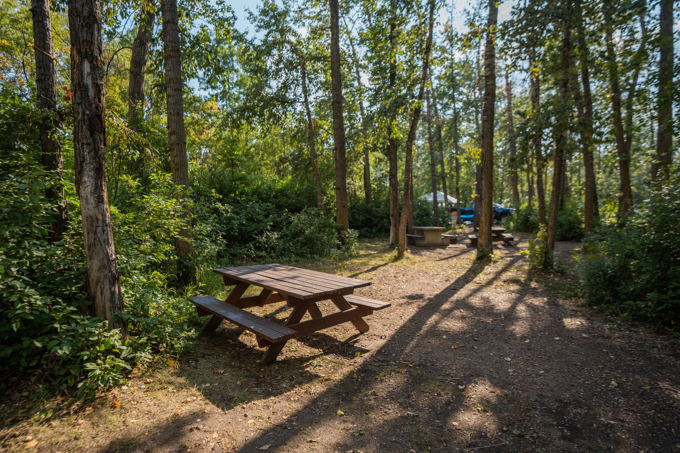 Ol' MacDonald's Resort | Canada's Alberta