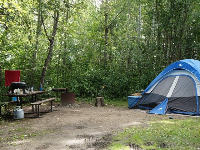 Forest campsite with a blue tent, picnic table, fire pit, and cooking gear.