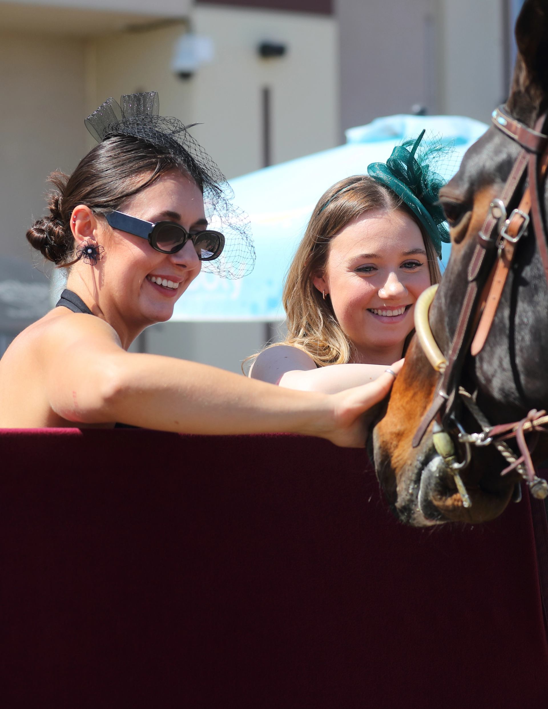 Guests standing close to horse near race track at outdoor event
