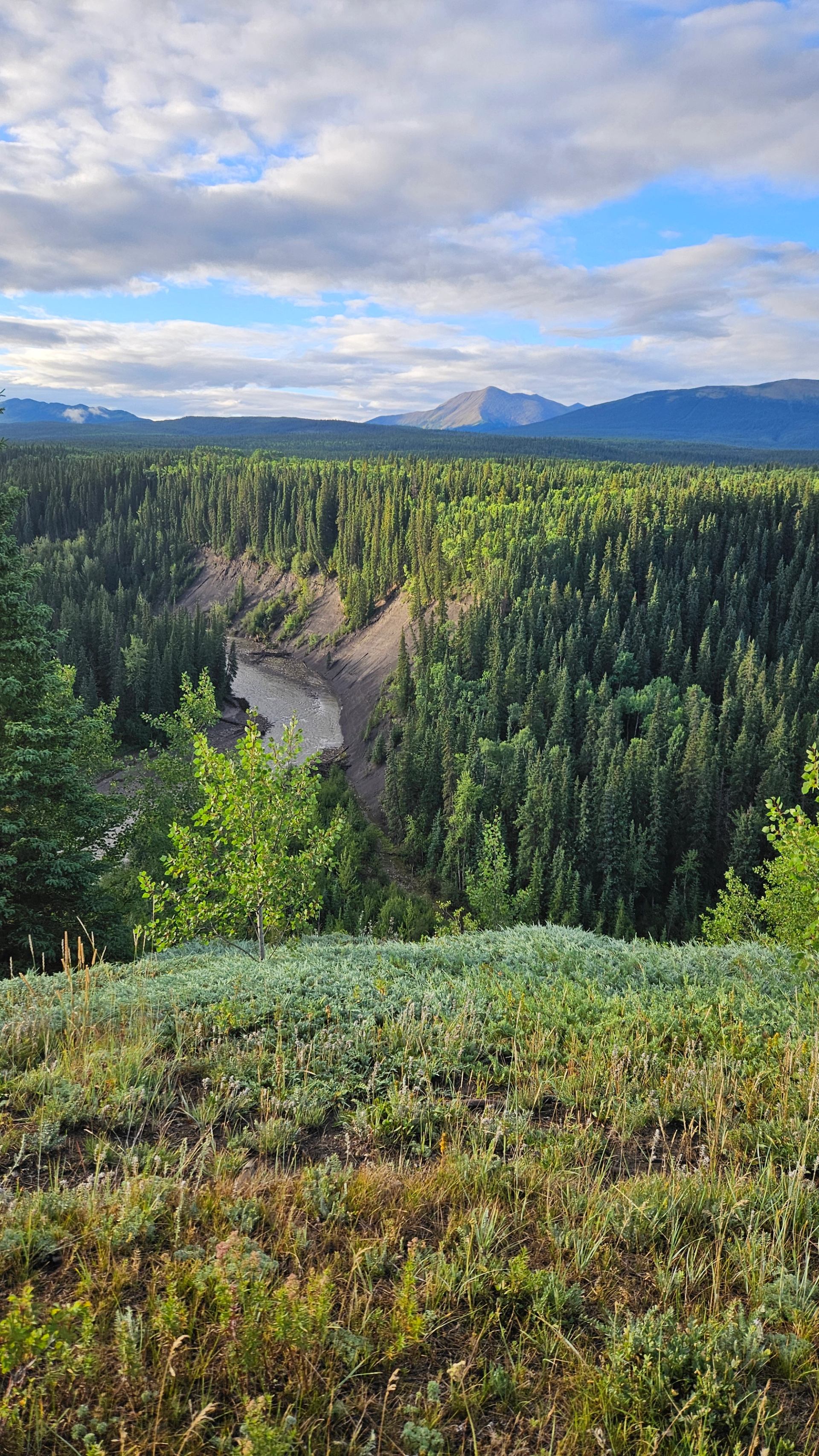 Scenic view of a river winding through dense green forest under a partly cloudy sky.