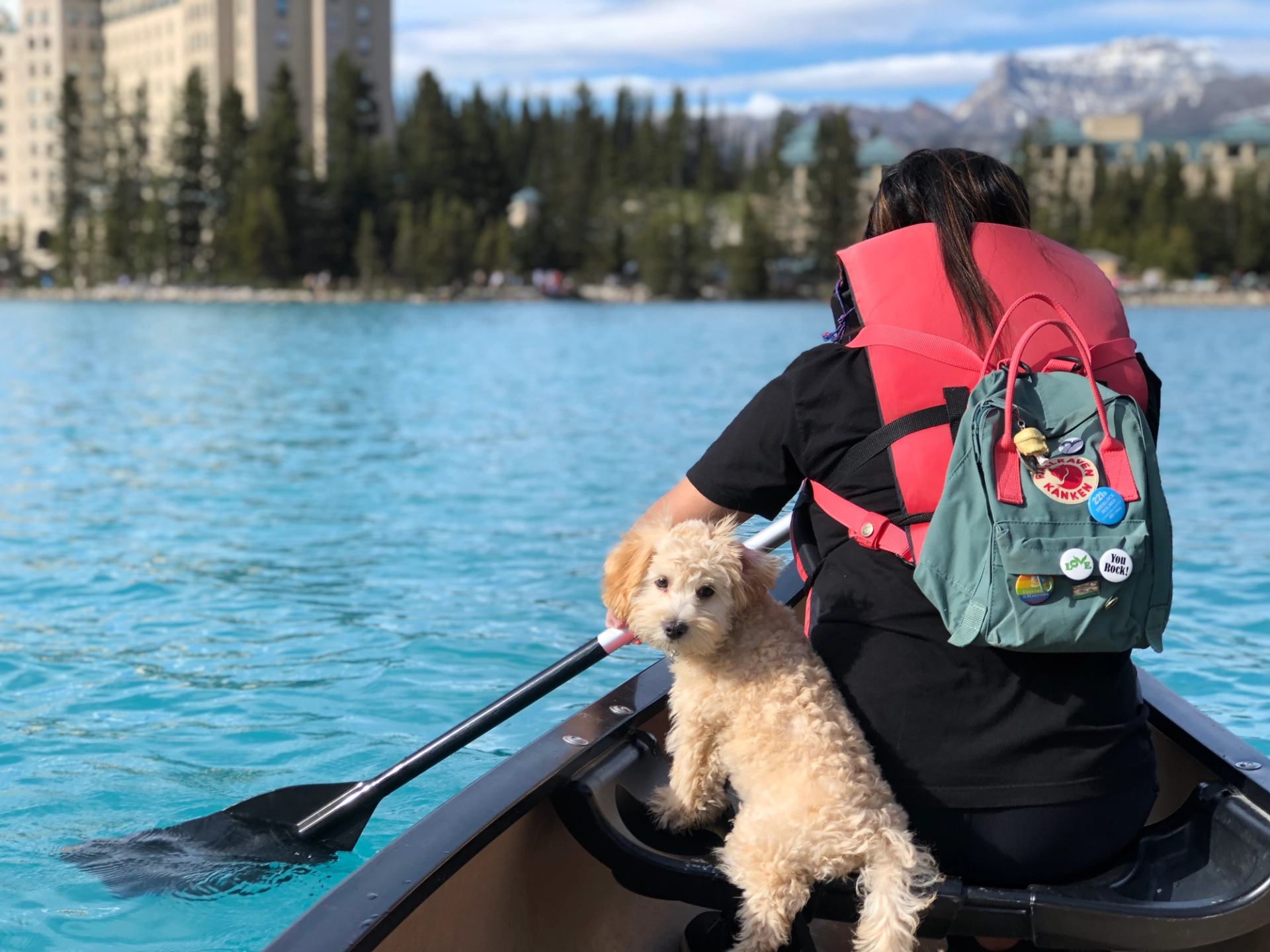 Person paddling a canoe on turquoise water with a small dog sitting at the front.