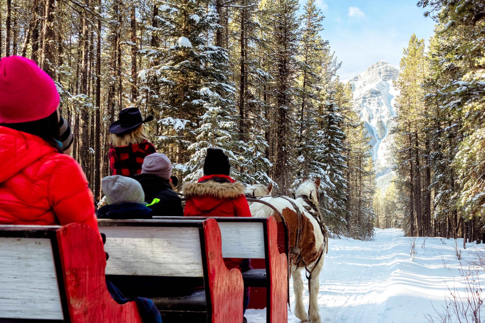 Horse-drawn sleigh carrying riders through a snowy forest trail in the Rocky Mountains.