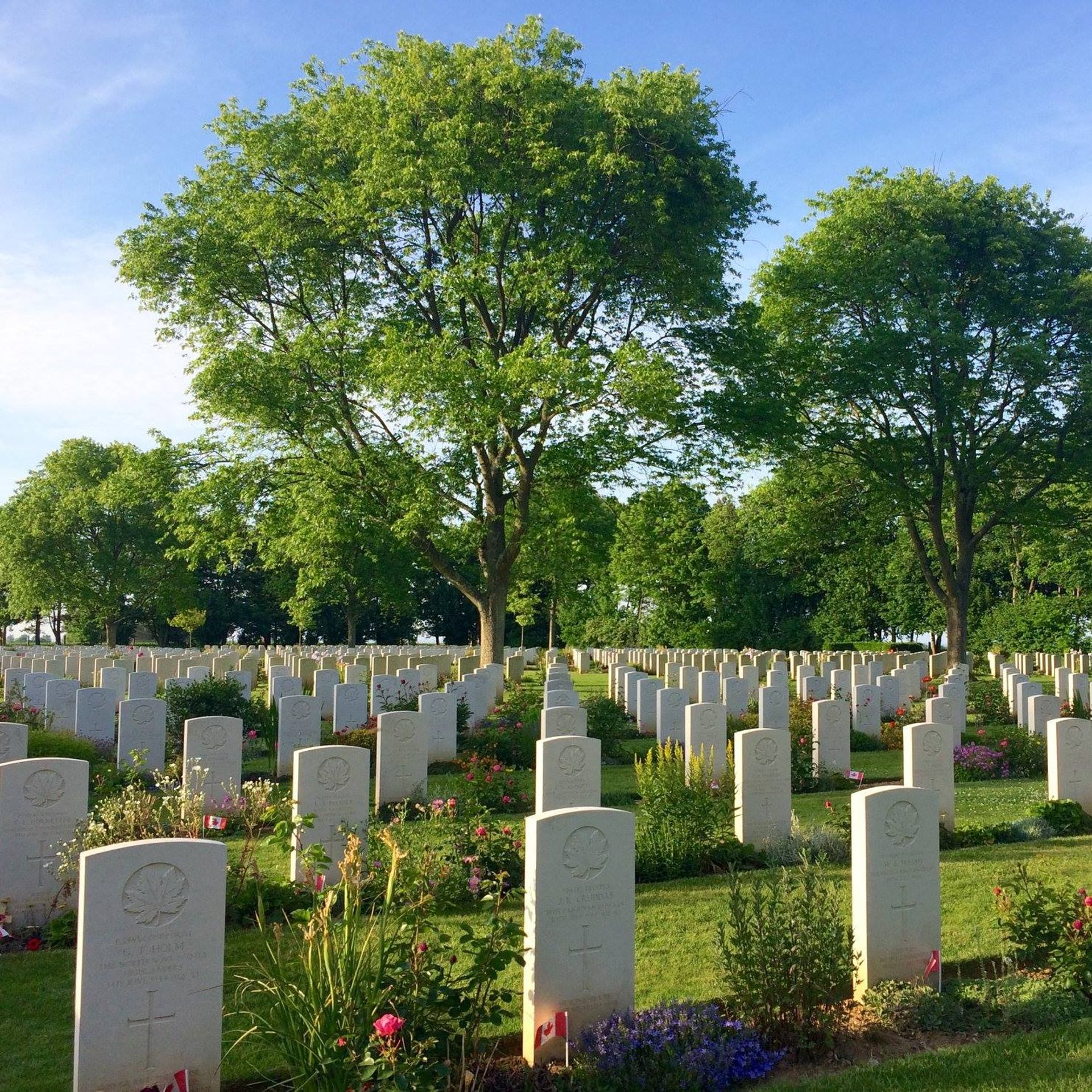 Rows of white military headstones with small Canadian flags under tall green trees.