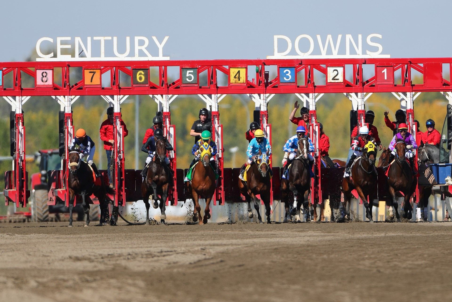 Horses burst from gates at Century Downs in thrilling race start.