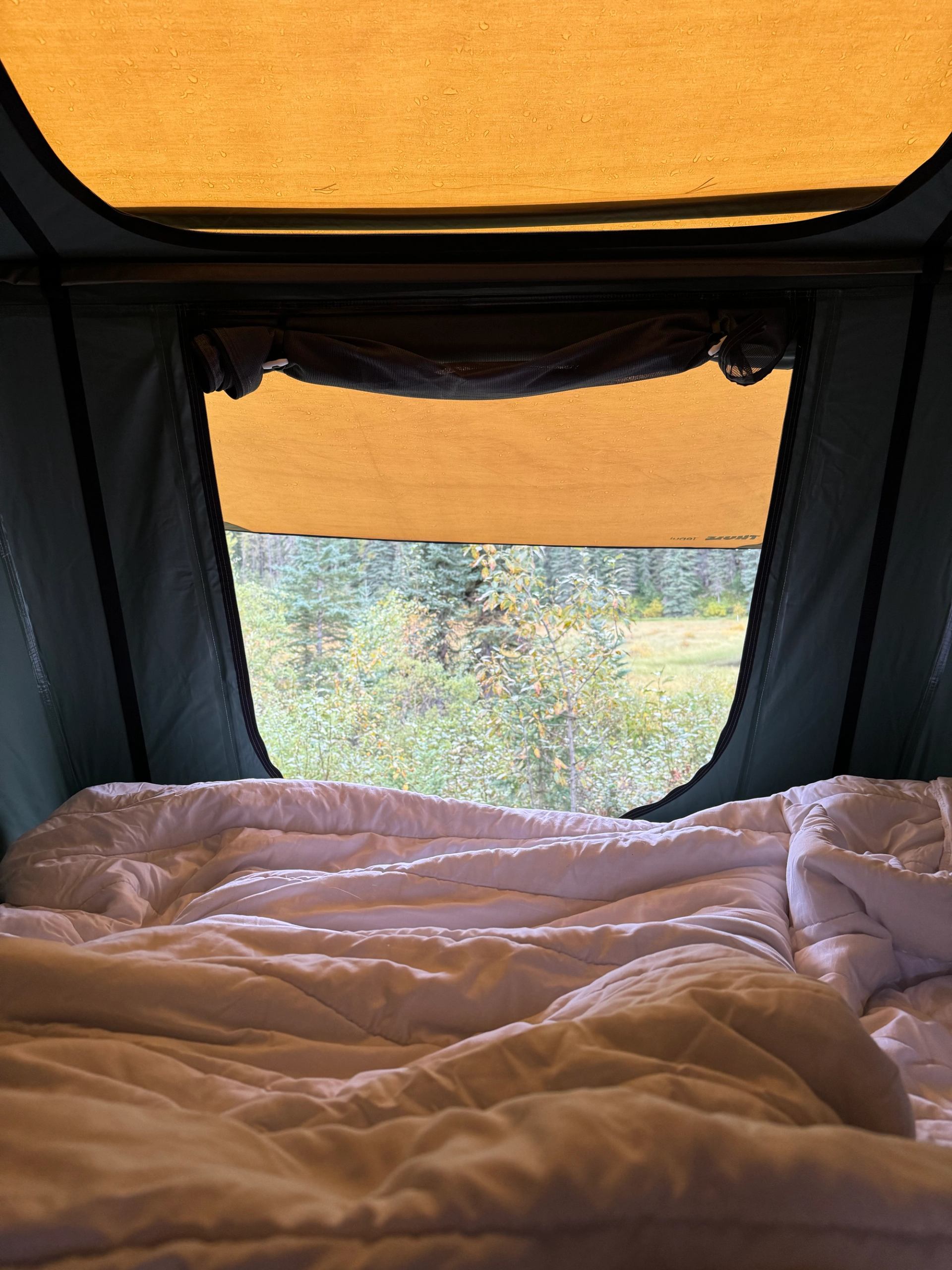 Quilted bedding inside a tent with open flap overlooking green trees and shrubs.