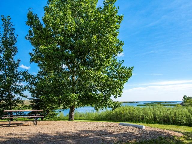 A campsite at the campground with a picnic table