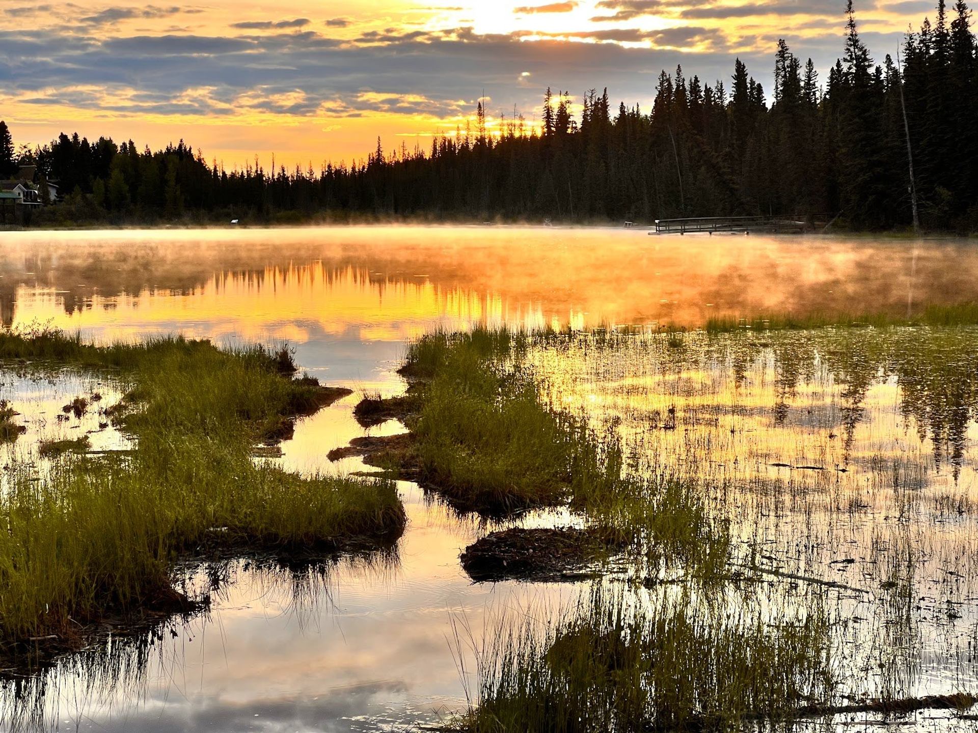 Sunrise over Maxwell Lake with mist, grassy patches, and forested shoreline.