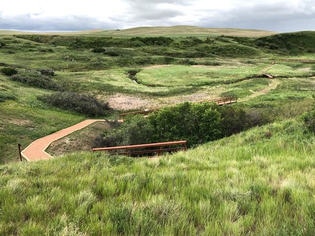 Wooden boardwalk winding through lush hills and grassy wetlands.