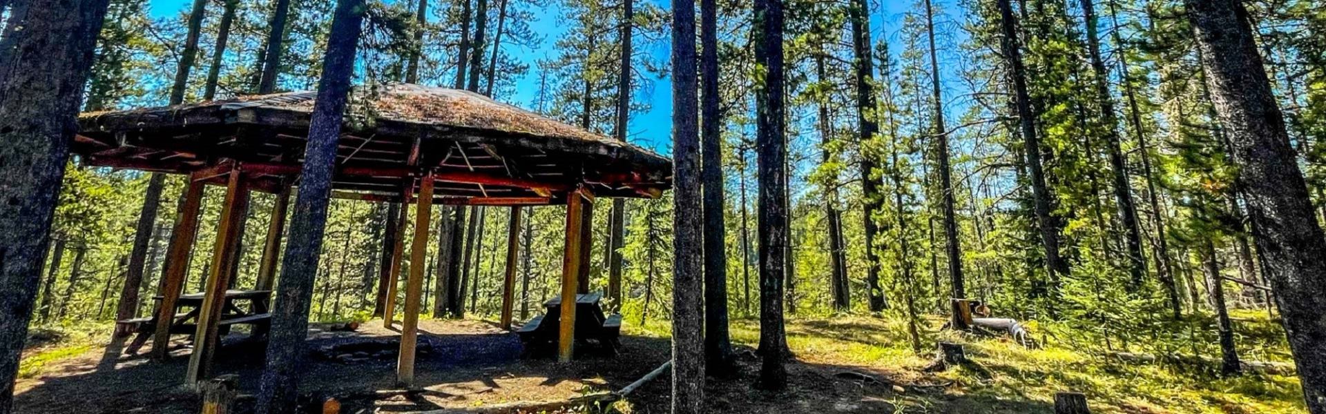 Lovett River Campground | Canada's Alberta thumbnail