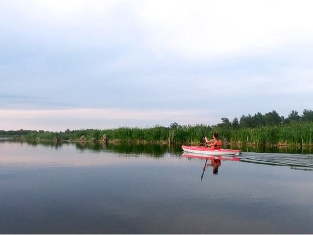 A person rowing a boat on the lake.
