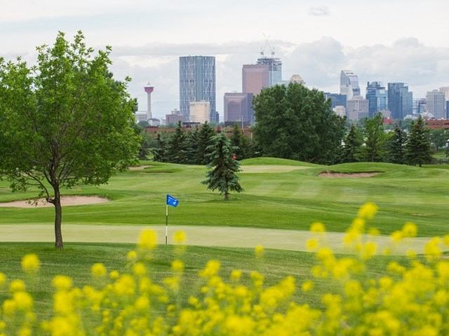 Golf course fairway with flag, trees, and Calgary skyline in background.