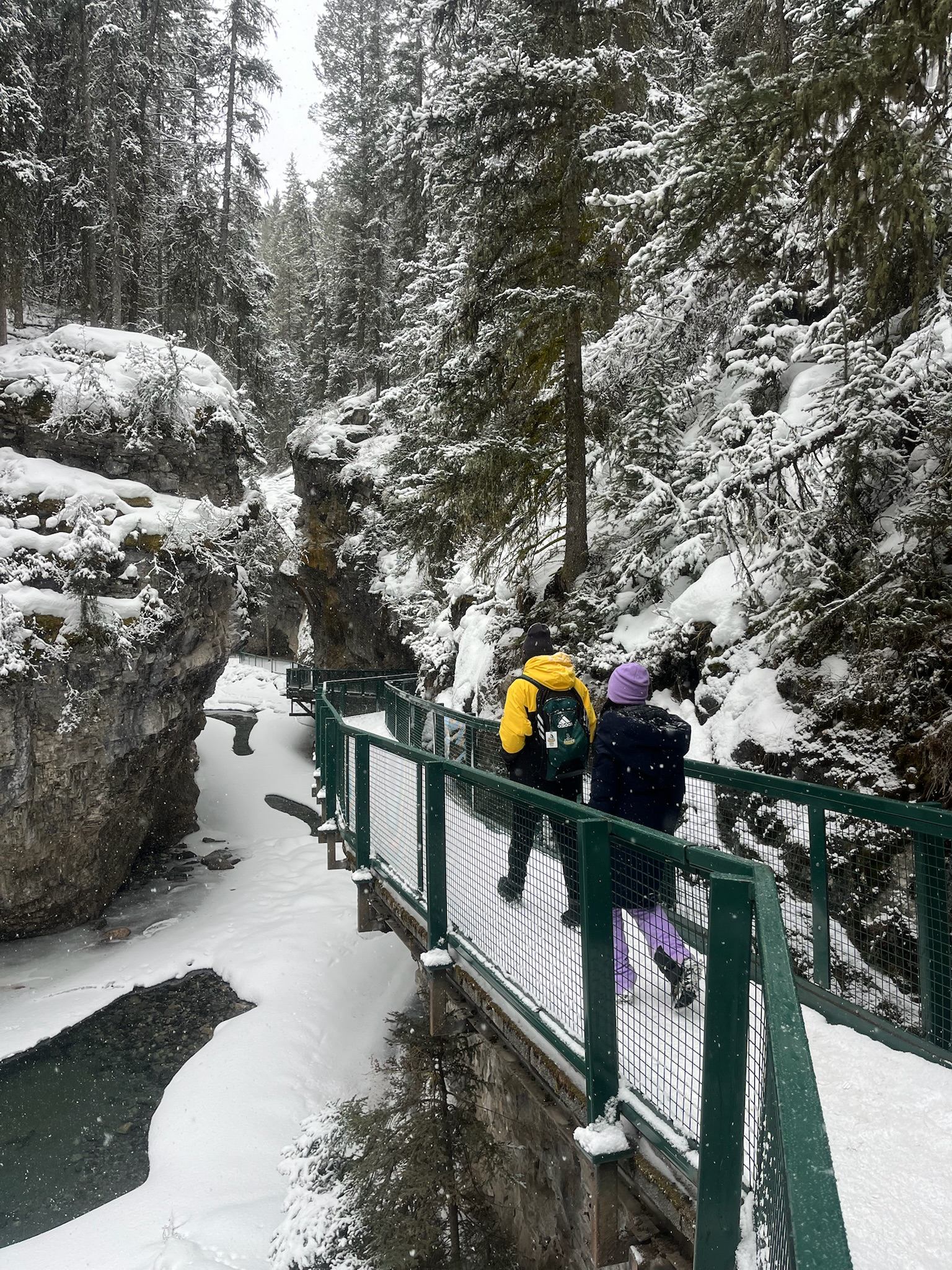 Two people walking on a snowy bridge through a forested canyon with icy river below.