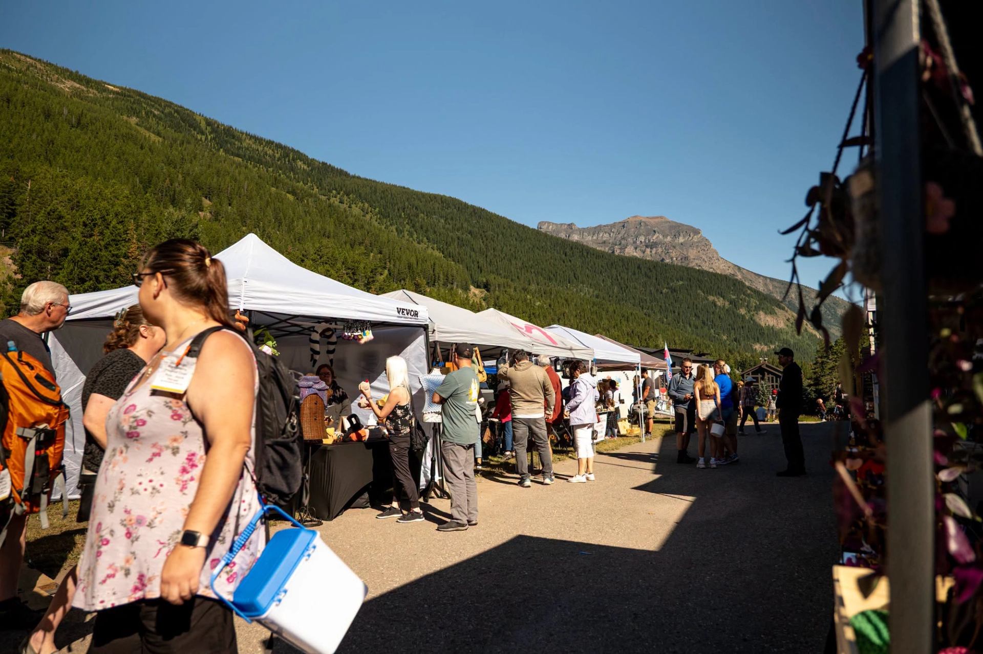 Outdoor market with people browsing vendor tents below forested mountains and clear sky.