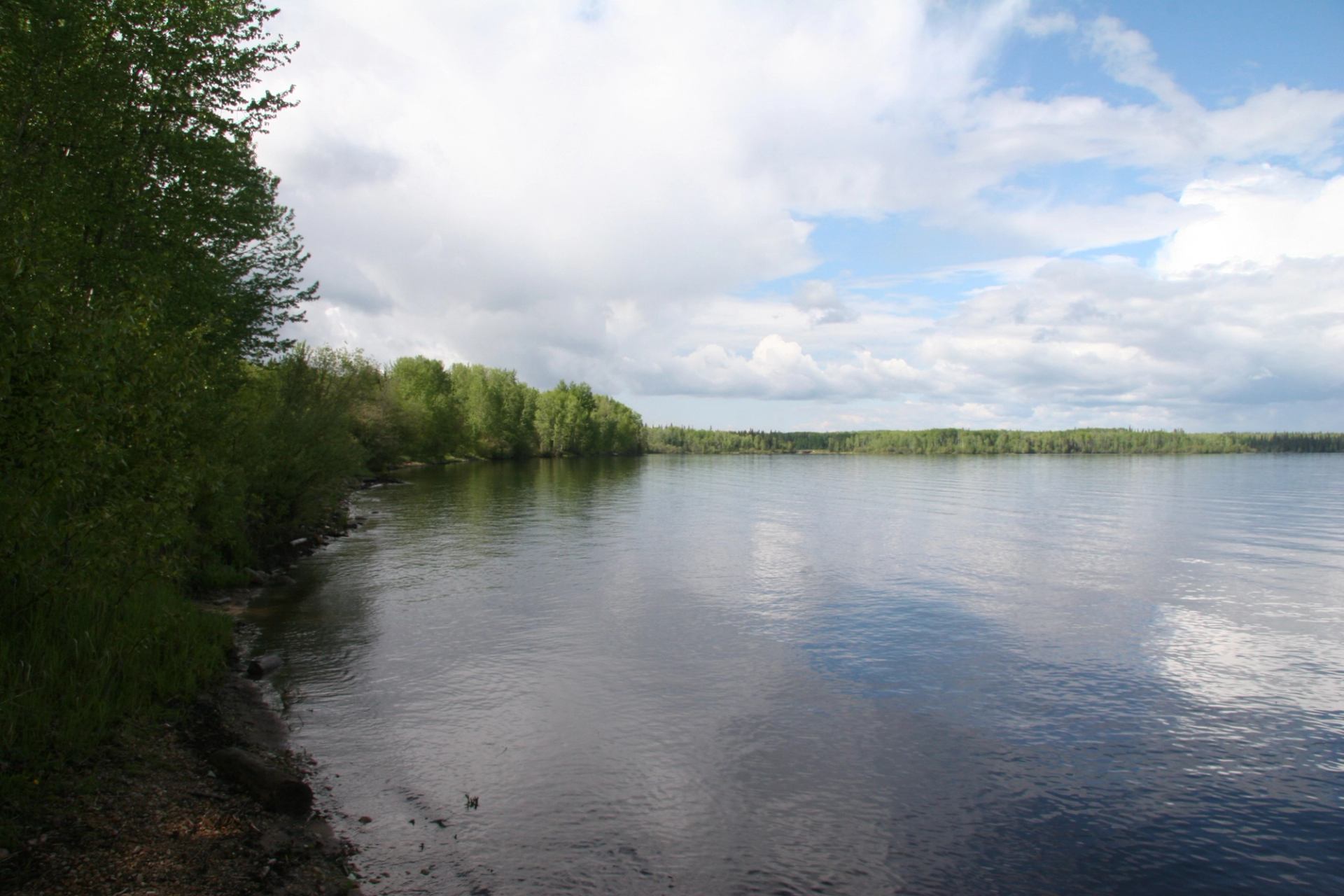 A view of the Fawcett Lake shoreline; the water is calm.