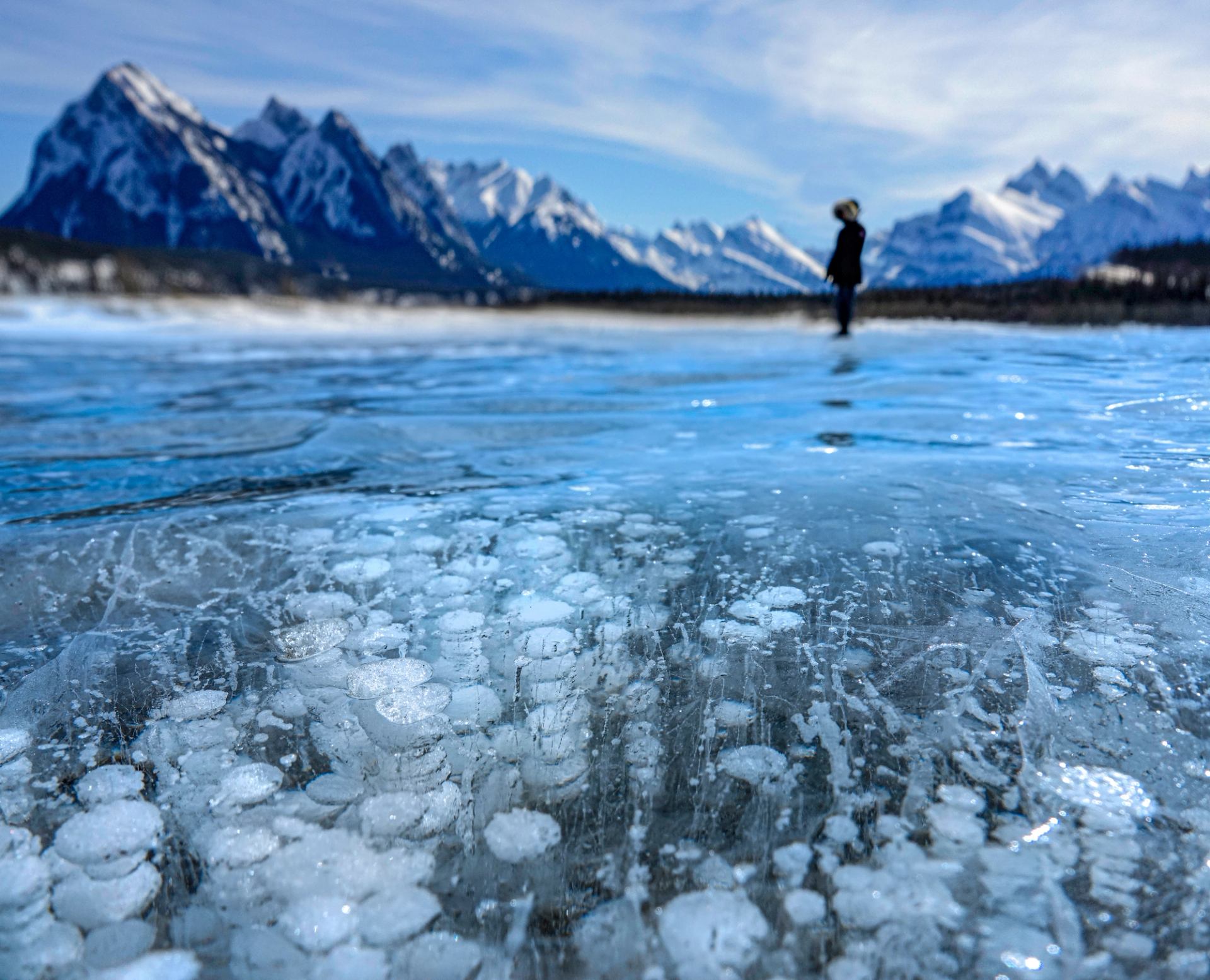 Close-up of frozen Abraham Lake showing methane ice bubbles with mountains in the background.