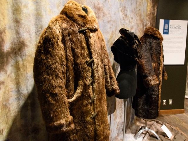 Fur coats displayed on mannequins beside an exhibit information sign at Borealis Gallery.