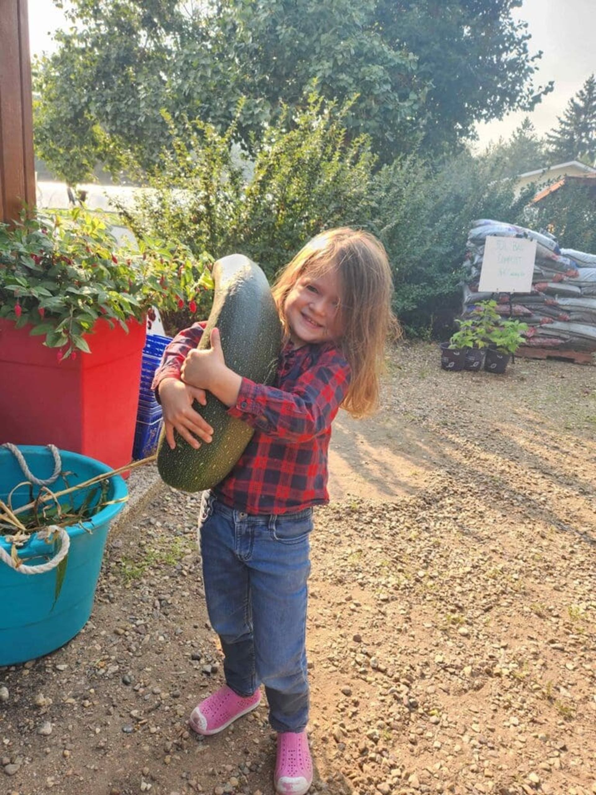 Child in plaid shirt holding large zucchini at outdoor garden centre.