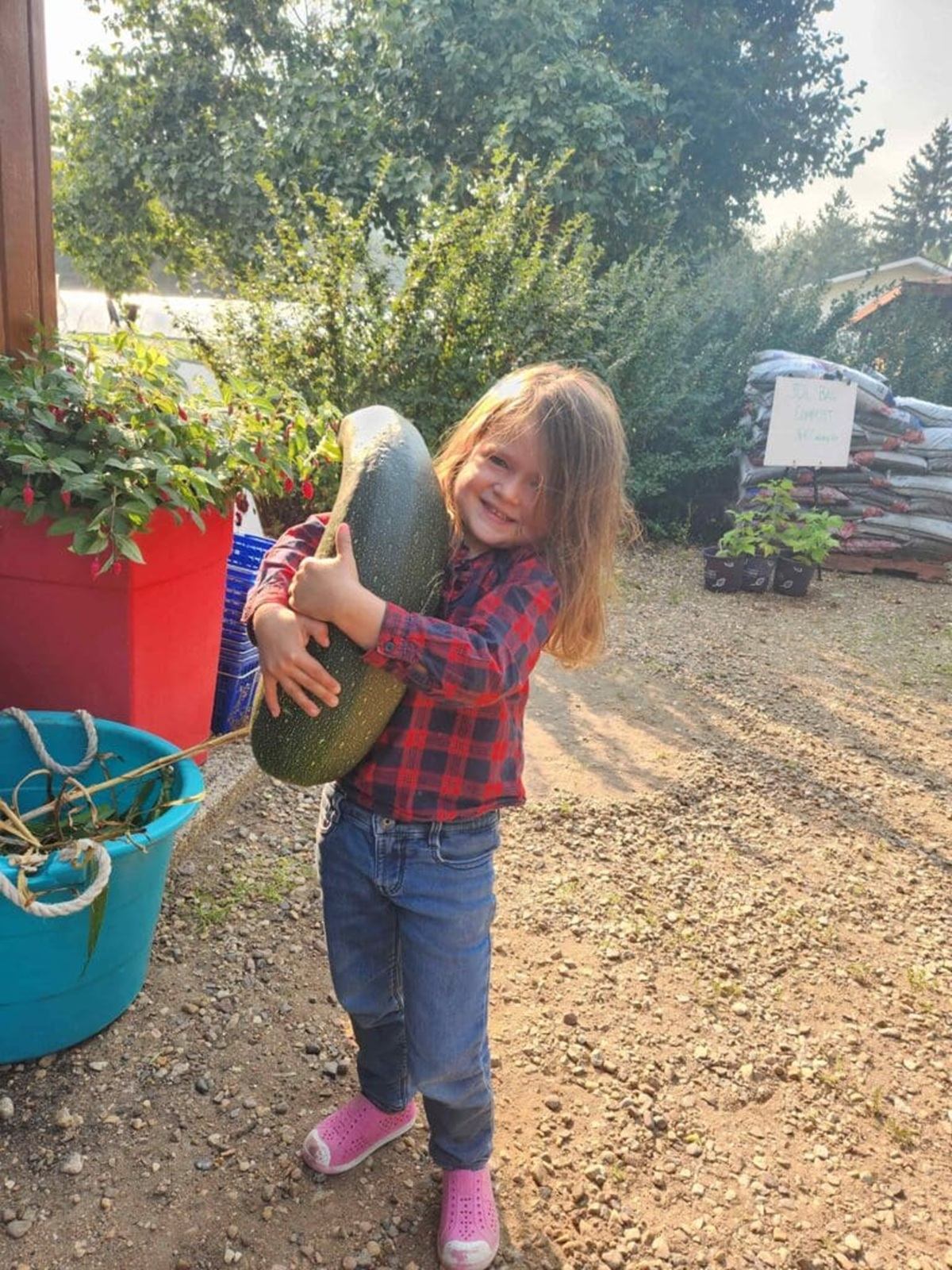 Child in plaid shirt holding large zucchini at outdoor garden centre.