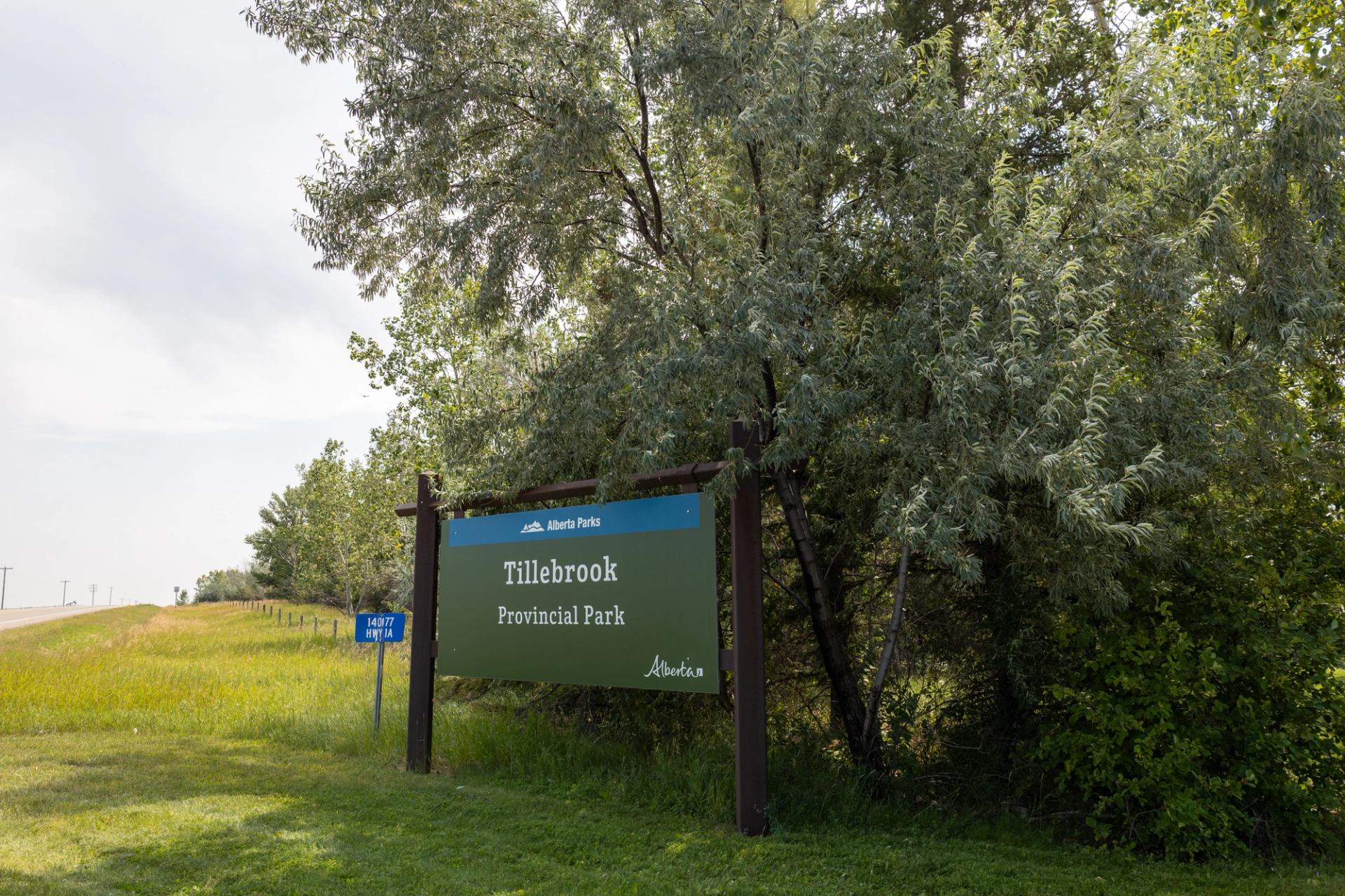 Entrance sign for Tillebrook Provincial Park beside trees and grassy roadside in Alberta.