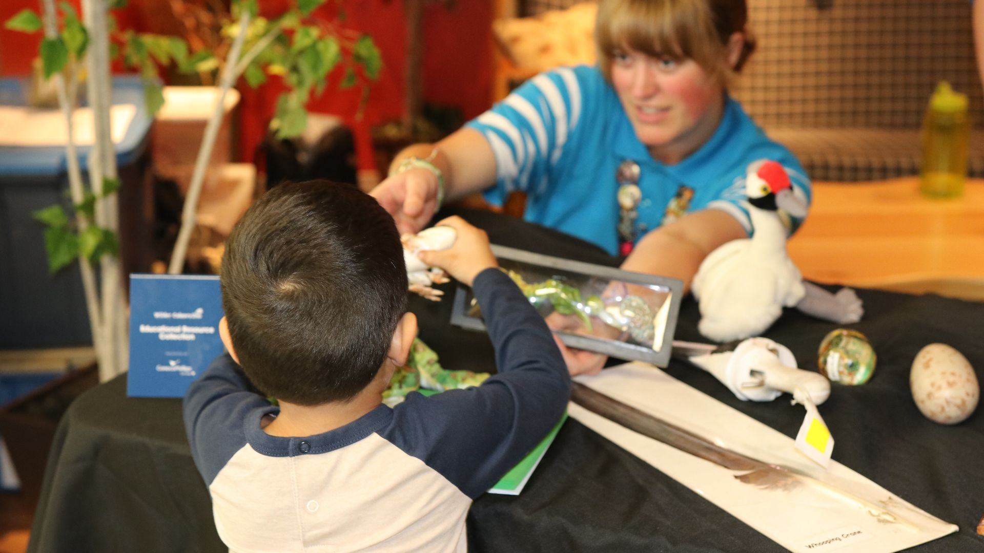 Child explores nature-themed table with adult at biodiversity event.