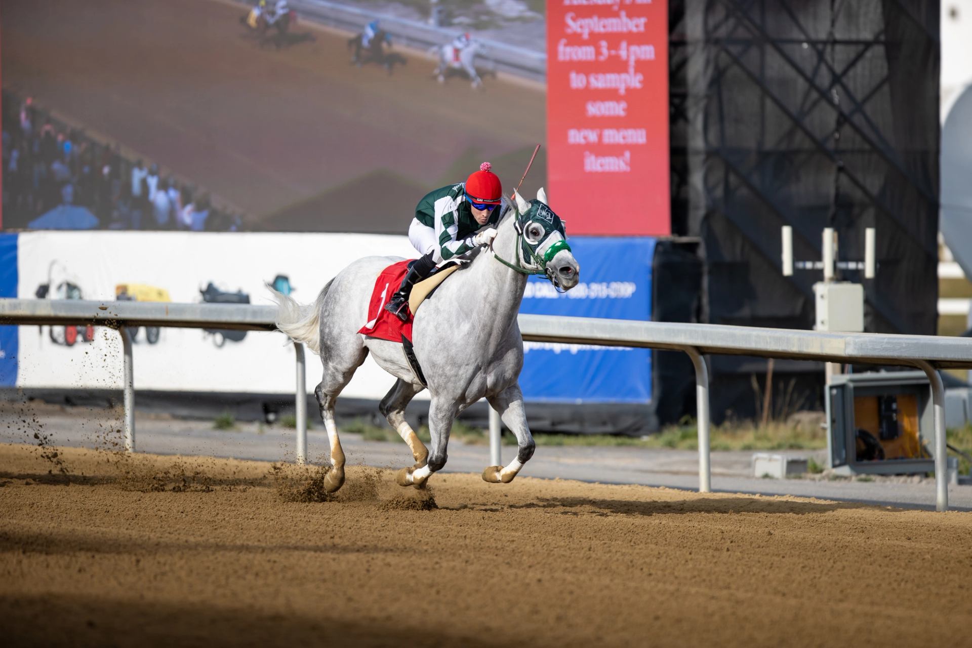 Gray racehorse with red saddle galloping on a dirt track during a live race.