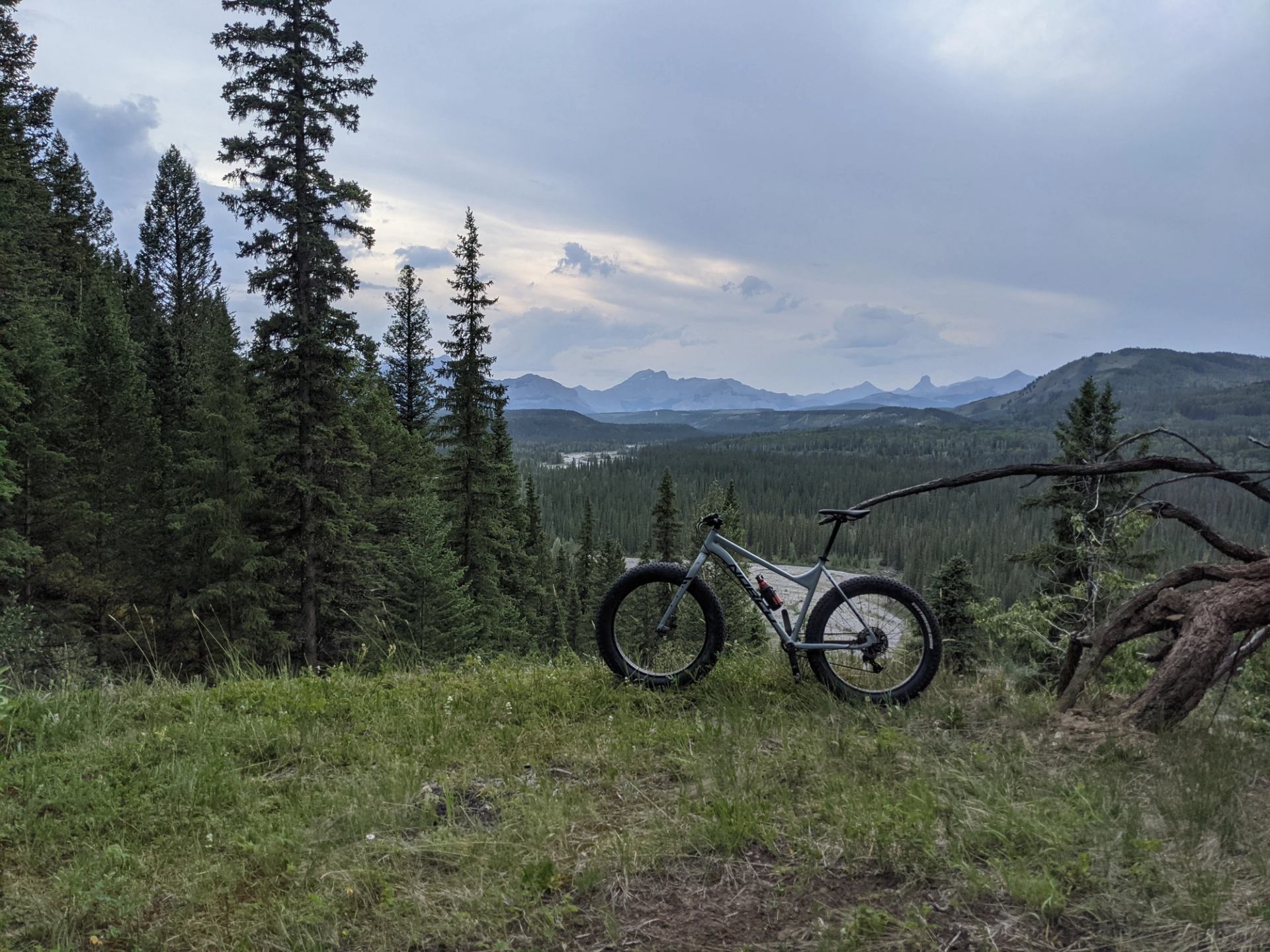 Mountain bike on grassy ridge overlooking dense evergreen forest and distant mountain range.