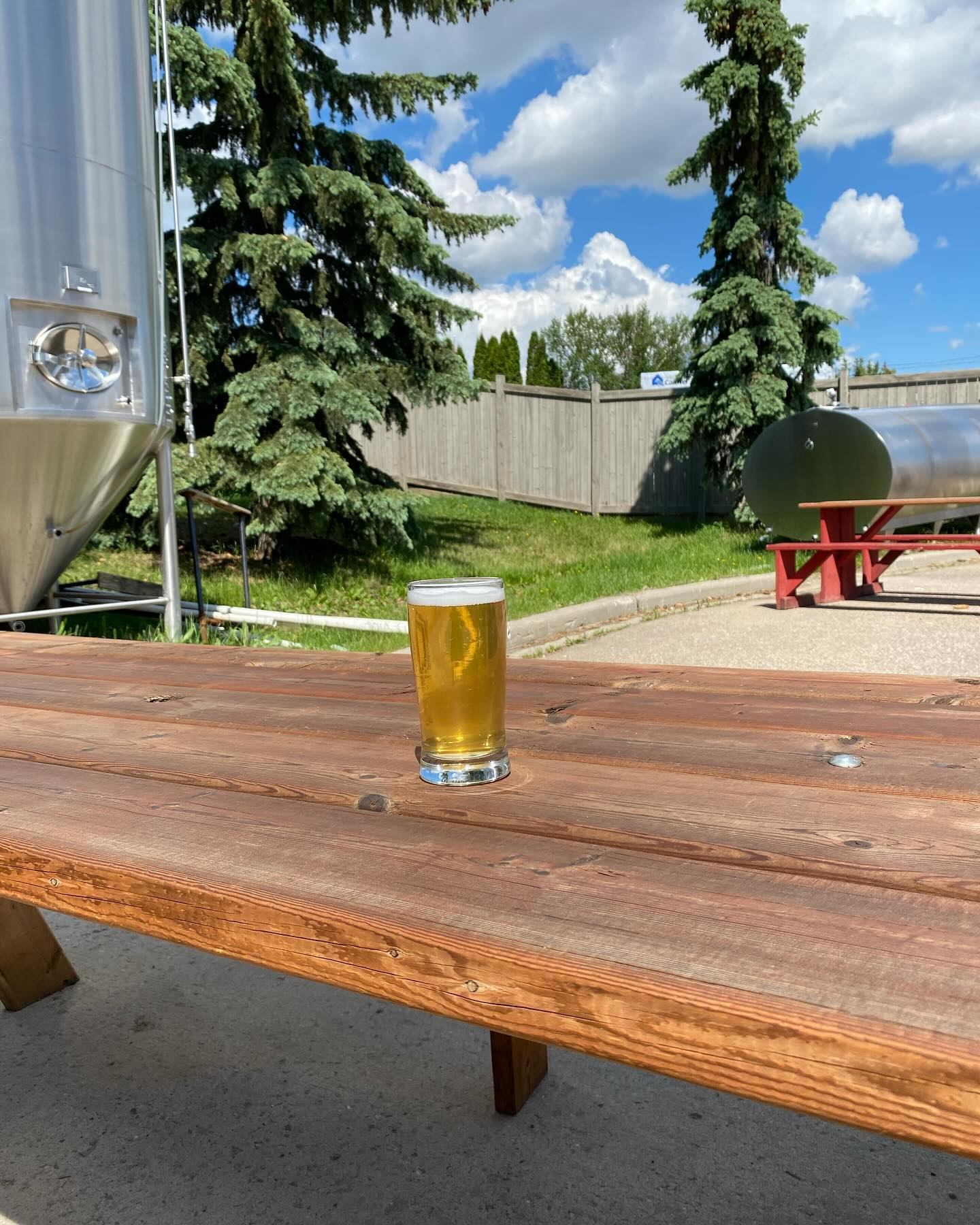 Pint of beer on wooden picnic table beside metal tanks and evergreen trees outdoors.