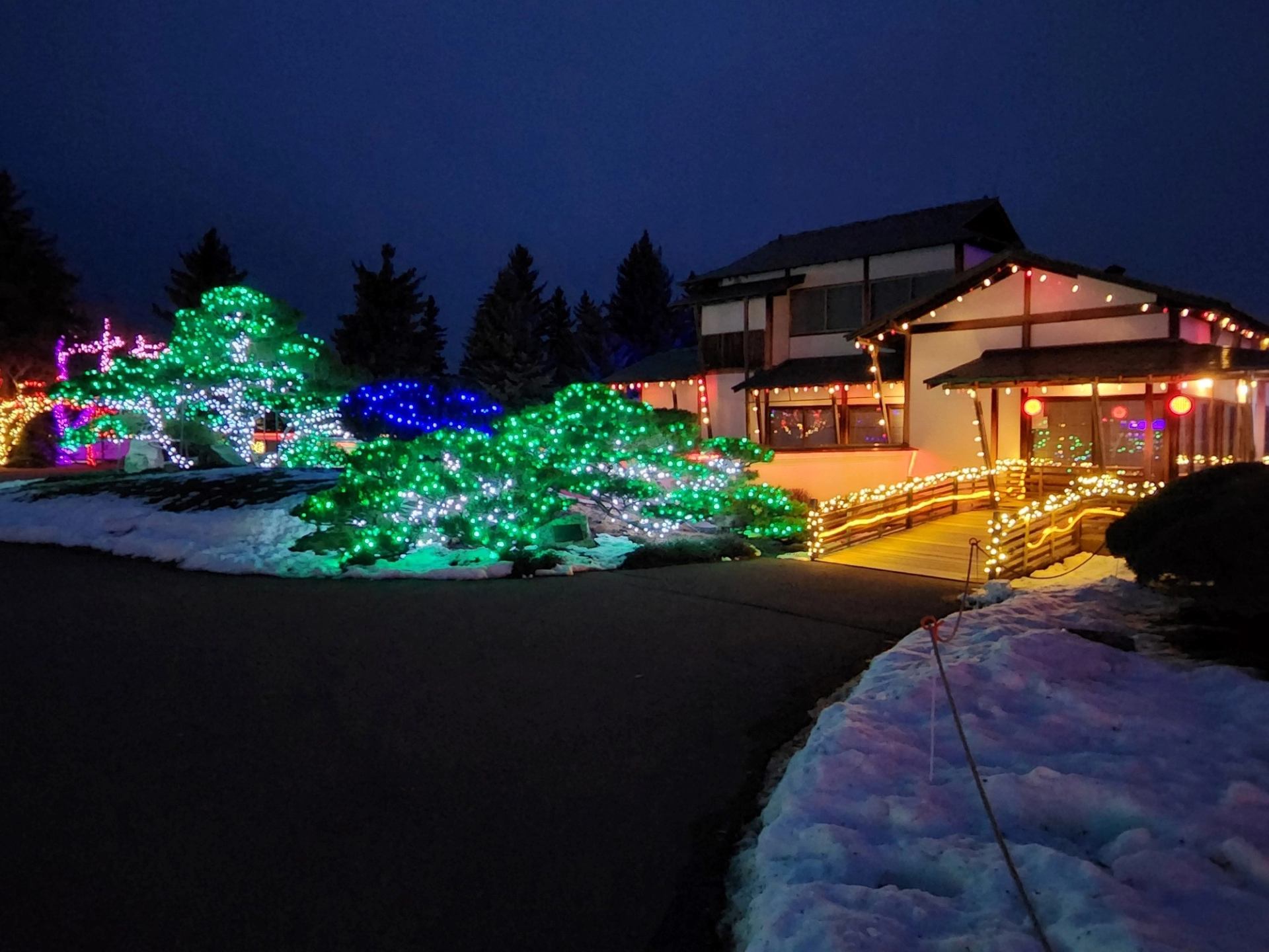 Japanese garden glowing with colorful lights during Nikka Yuko Winter Light Festival.