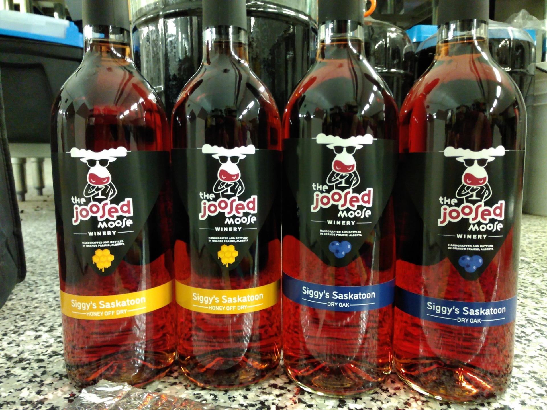 Four Joosed Moose Siggy's Saskatoon wine bottles lined up on a speckled counter.