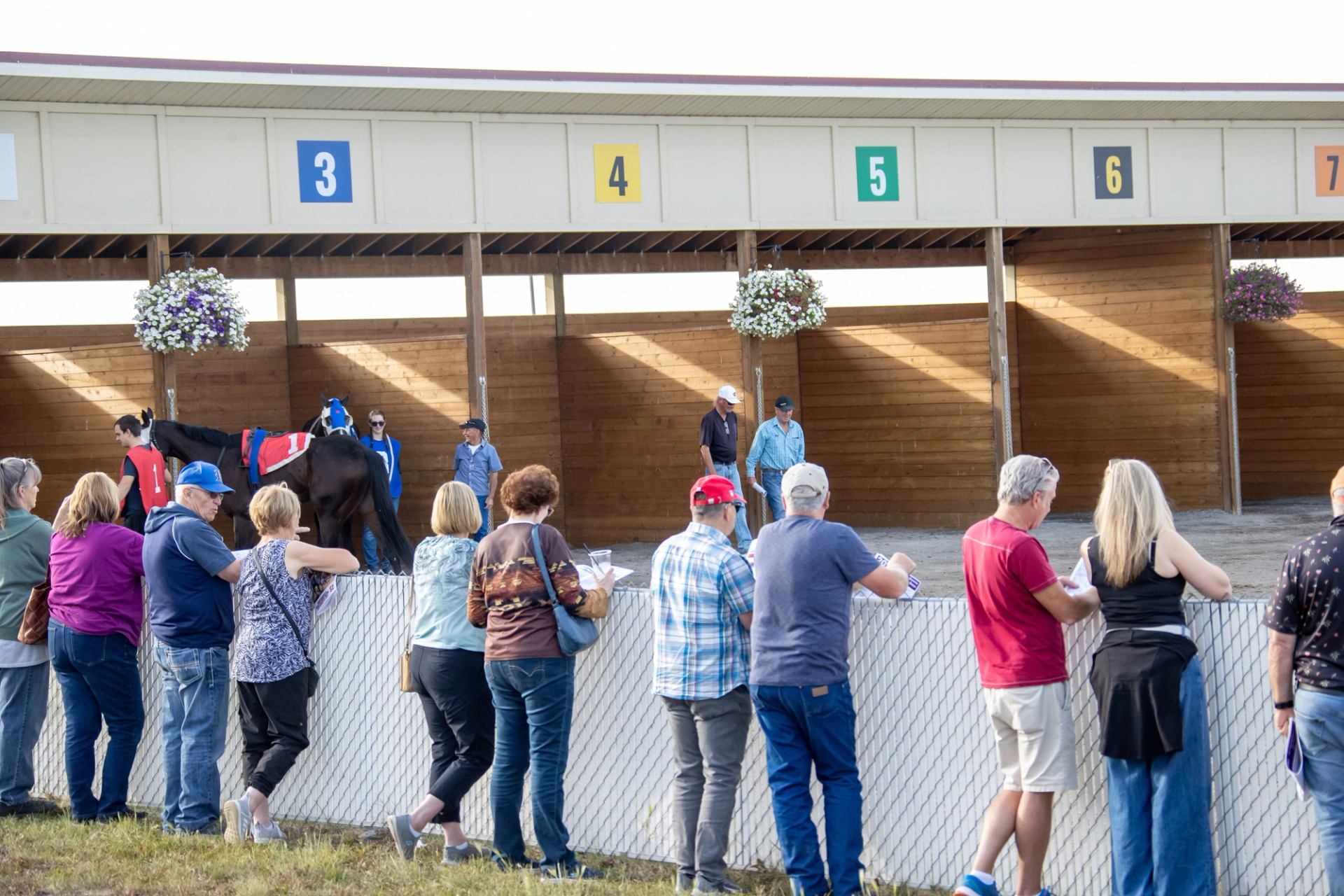 Spectators lined up at the paddock viewing horses before a live racing event.