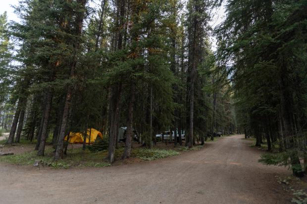 Sites at Waterfowl Lakes Campground.