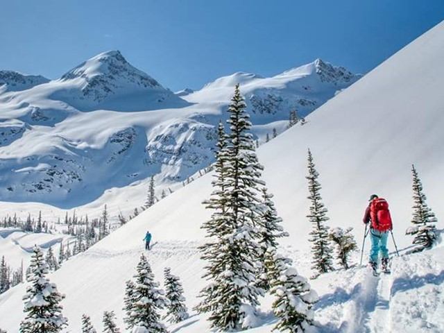 Two skiers with backpacks cross a snowy mountain slope lined with pines, majestic sunlit peaks behind them.