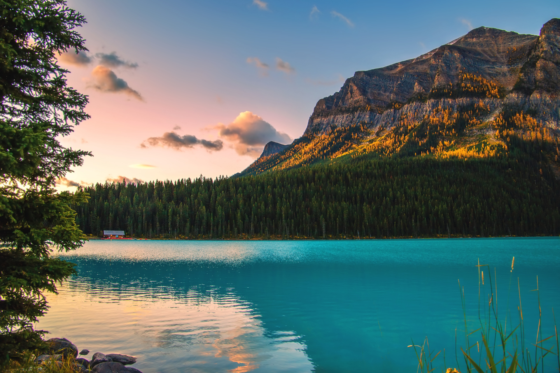 Lake Louise glowing at sunrise with forested slopes and golden light on cliffs.