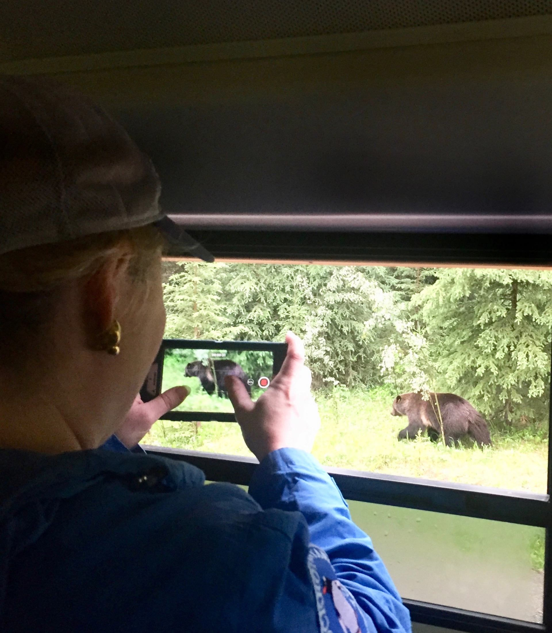 A person films two bears in a forest through a window with a smartphone.