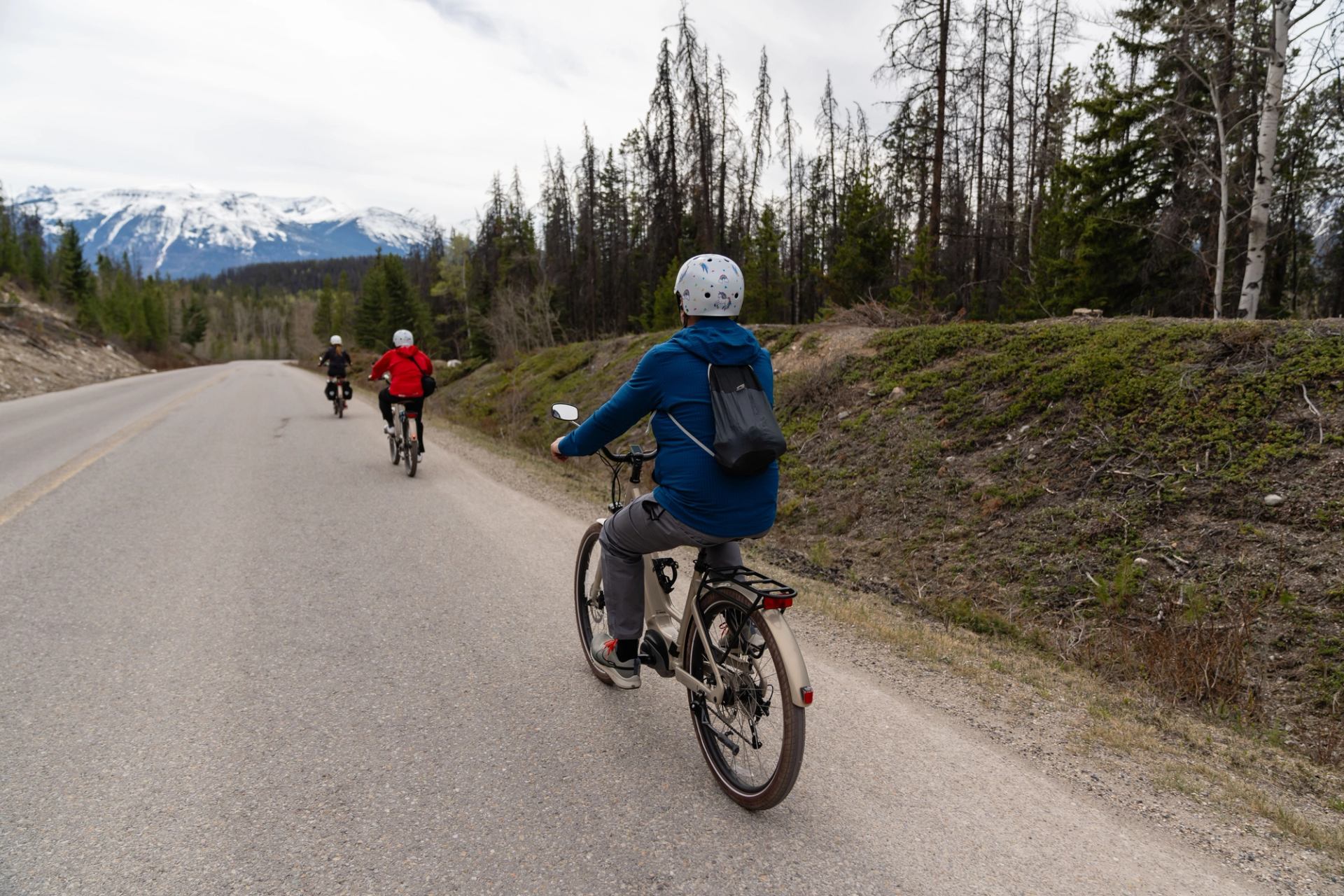 Three cyclists on a forested road with snowy mountains in the background.
