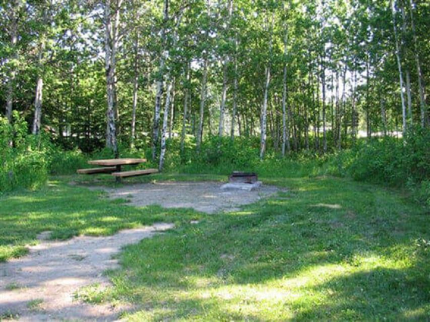 Park picnic table and paved walkway in Red Willow Park, surrounded by trees and grass.
