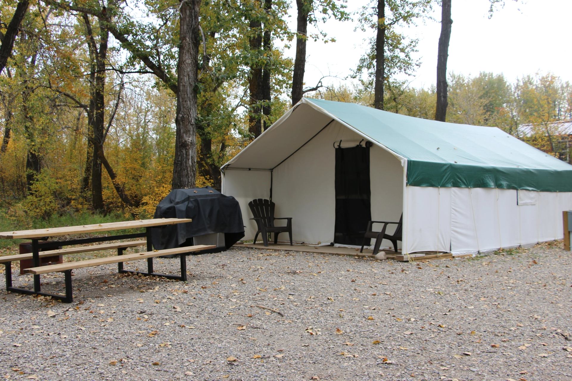 A large white canvas tent with a green roof, a picnic table, and a covered grill on a gravel campsite surrounded by autumn trees.