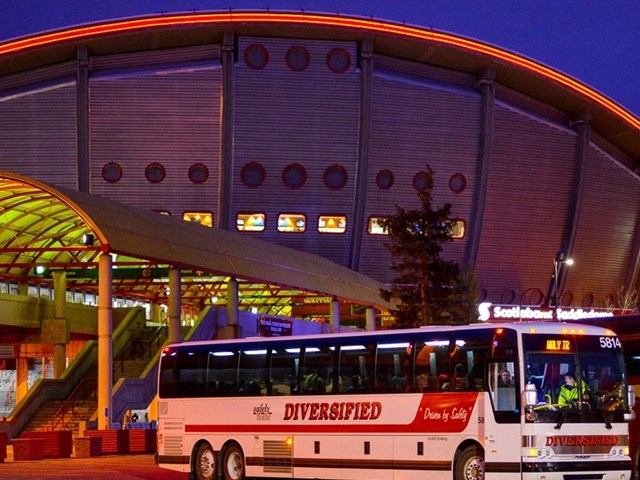 White Diversified bus with red accents in front of Saddledome arena, trees and lights nearby.