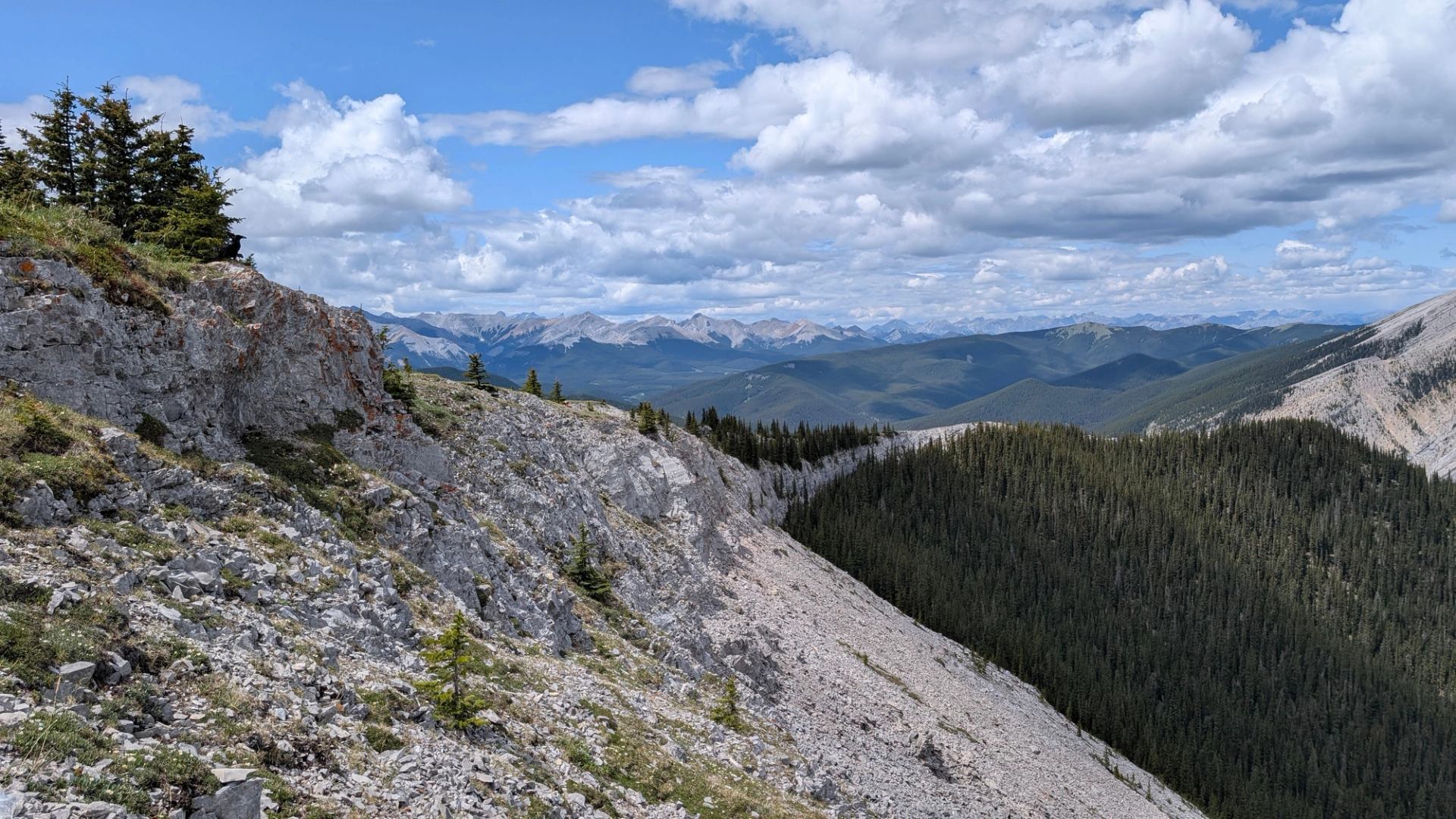 Rocky mountain slope with scattered trees overlooking forested valleys and distant peaks under clouds.