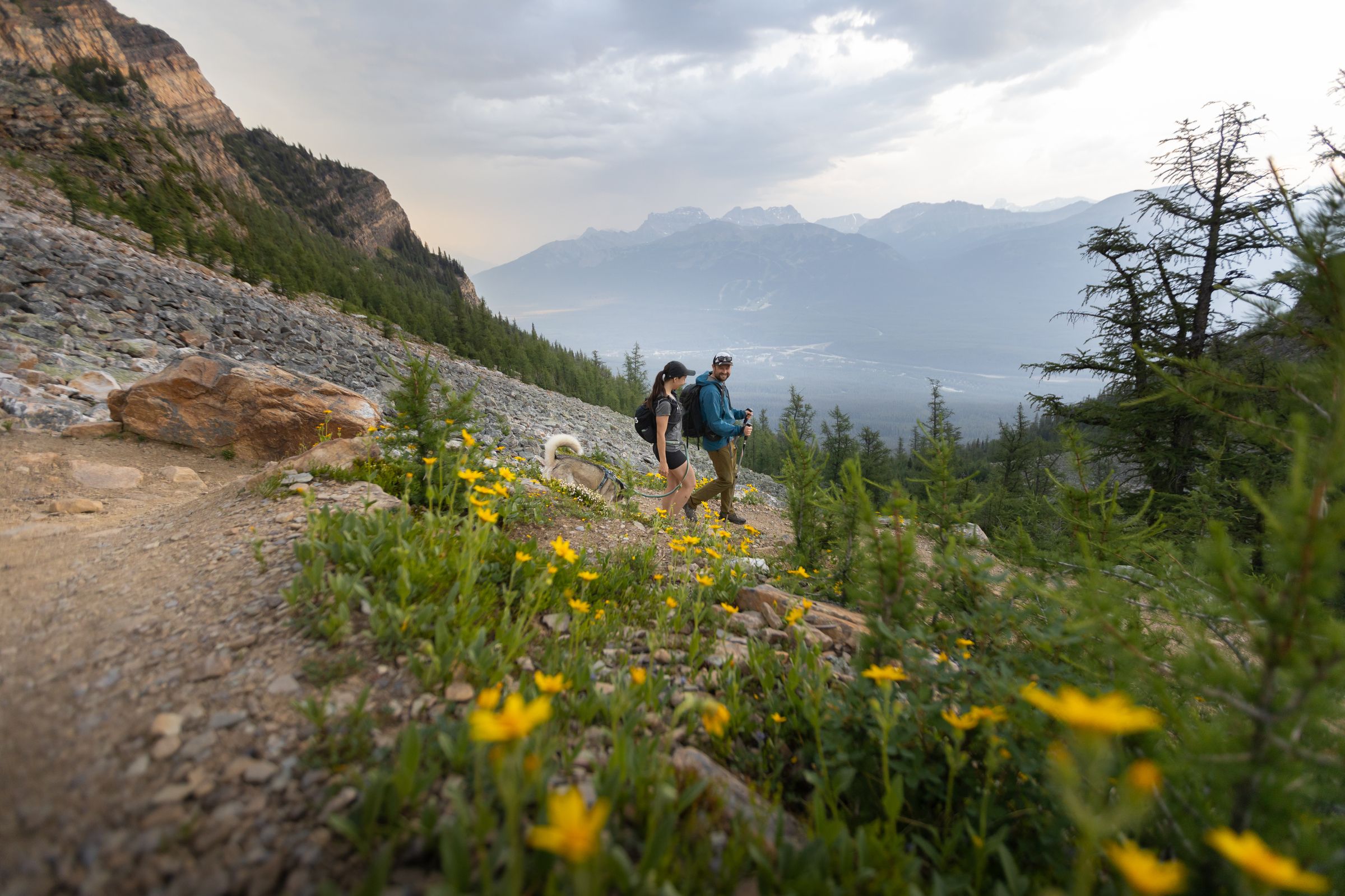 Saddleback Trail | Canada's Alberta thumbnail