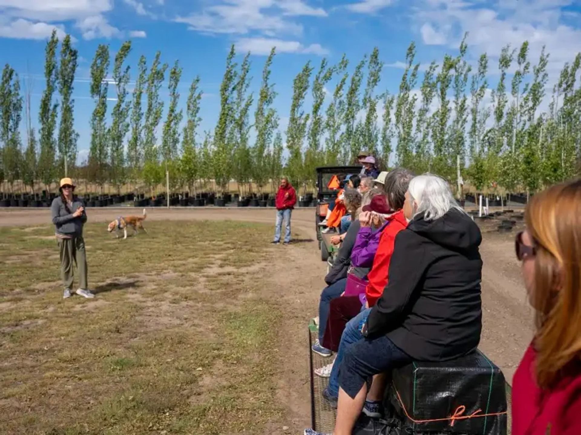 Group of people ride open wagon through tree nursery while guide stands nearby with dog.