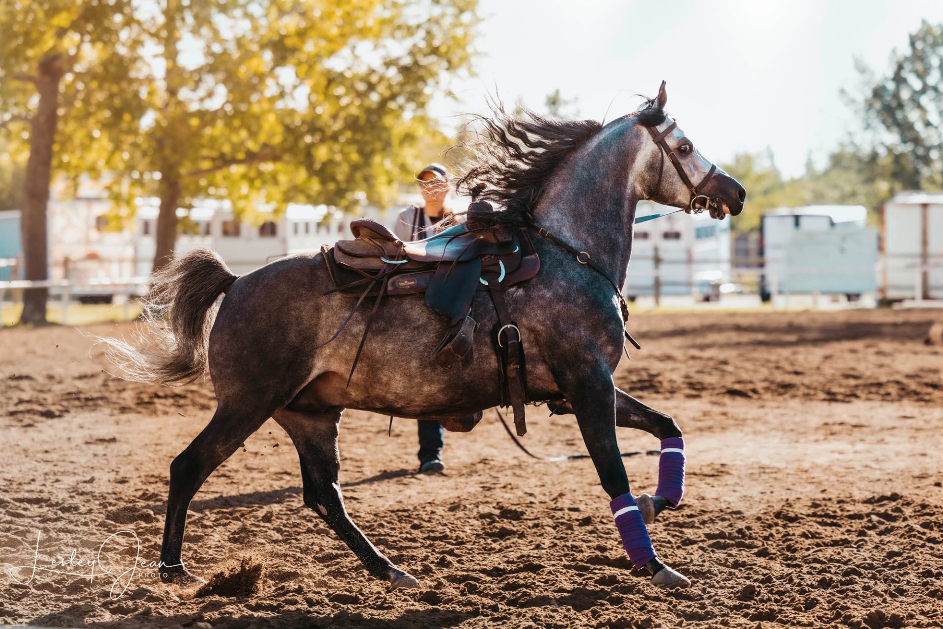 Horse warming up in the sand ring at Westerner Park